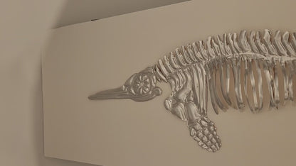 Icthyosaur Aluminium Anning  (Aluminium Fossil Art) 23x8 inch frame